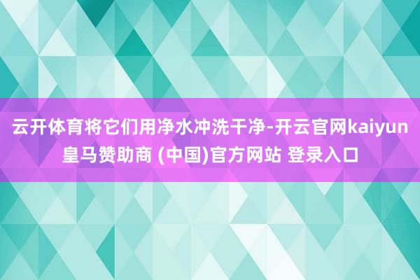 云开体育将它们用净水冲洗干净-开云官网kaiyun皇马赞助商 (中国)官方网站 登录入口
