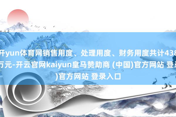 开yun体育网销售用度、处理用度、财务用度共计4381.98万元-开云官网kaiyun皇马赞助商 (中国)官方网站 登录入口