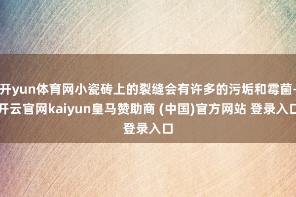 开yun体育网小瓷砖上的裂缝会有许多的污垢和霉菌-开云官网kaiyun皇马赞助商 (中国)官方网站 登录入口